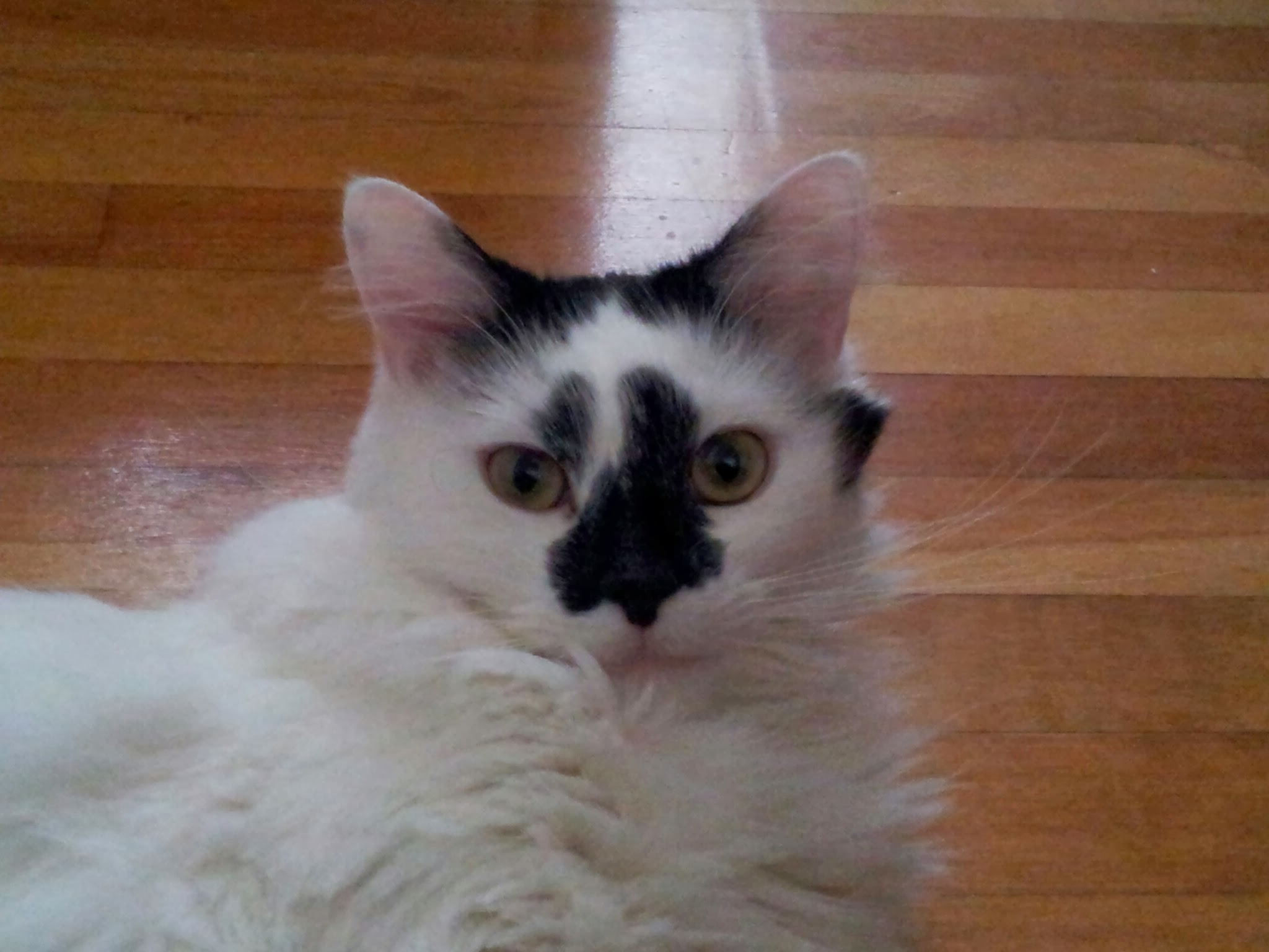 The Super Squad - On set